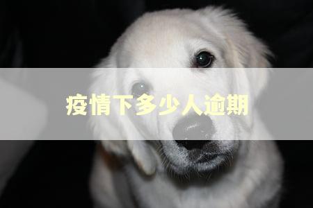 疫情下多少人逾期