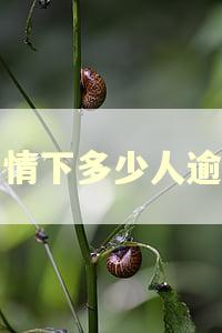 疫情下多少人逾期