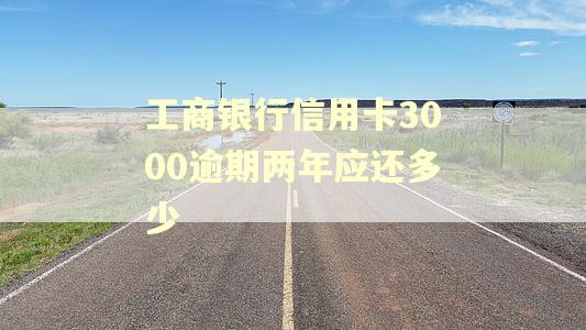 工商银行信用卡3000逾期两年应还多少