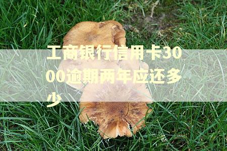 工商银行信用卡3000逾期两年应还多少