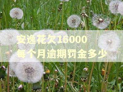 安逸花欠16000每个月逾期罚金多少