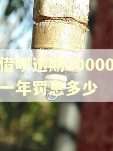 借呗逾期20000一年罚息多少