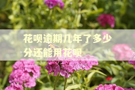 花呗逾期几年了多少分还能用花呗