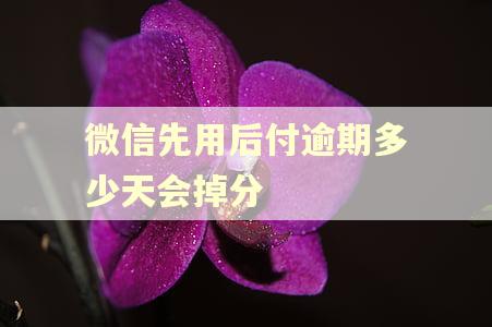 微信先用后付逾期多少天会掉分