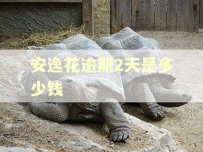 安逸花逾期2天是多少钱