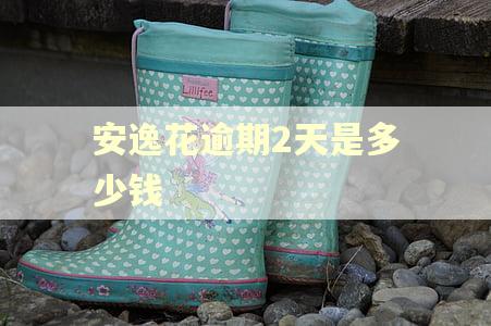 安逸花逾期2天是多少钱