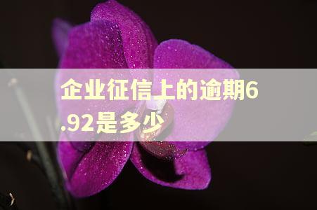 企业征信上的逾期6.92是多少