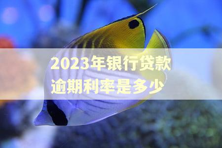 2023年银行贷款逾期利率是多少
