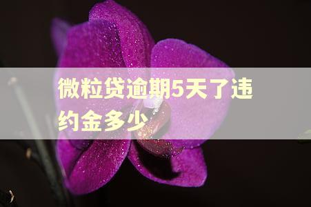 微粒贷逾期5天了违约金多少 微粒贷逾期5天了违约金多少
