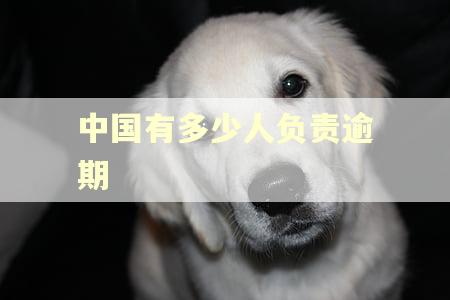 中国有多少人负责逾期