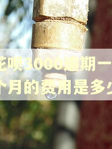 花呗3000逾期一个月的费用是多少 花呗3000逾期一个月的费用是多少