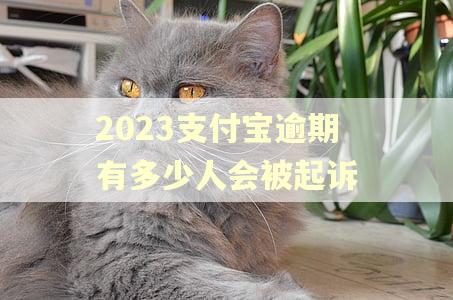 2023支付宝逾期有多少人会被起诉