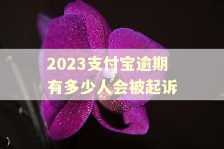 2023支付宝逾期有多少人会被起诉
