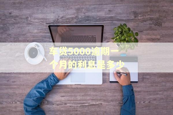 车贷5000逾期一个月的利息是多少