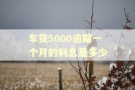 车贷5000逾期一个月的利息是多少
