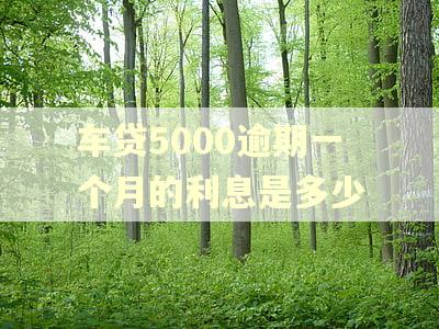 车贷5000逾期一个月的利息是多少