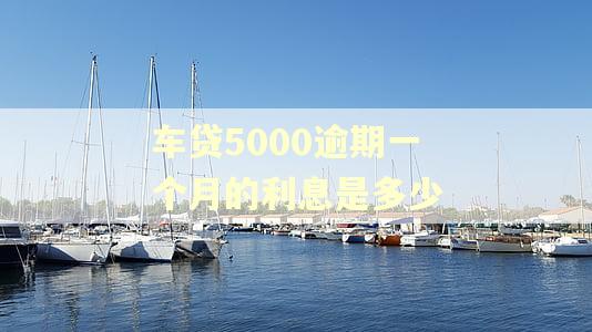 车贷5000逾期一个月的利息是多少 车贷5000逾期一个月的利息是多少