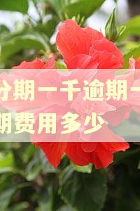 好分期一千逾期一天逾期费用多少