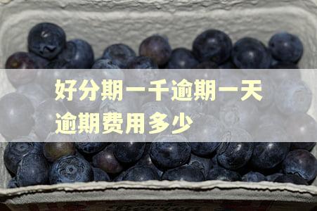好分期一千逾期一天逾期费用多少 好分期一千逾期一天逾期费用多少
