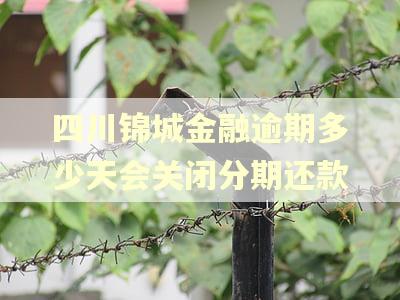 四川锦城金融逾期多少天会关闭分期还款