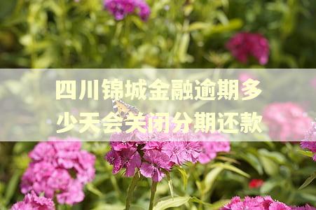 四川锦城金融逾期多少天会关闭分期还款