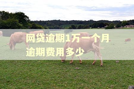 网贷逾期1万一个月逾期费用多少