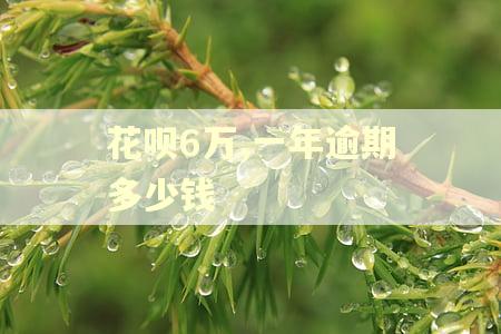 花呗6万,一年逾期多少钱