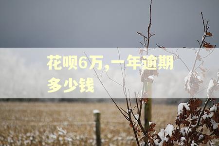 花呗6万,一年逾期多少钱