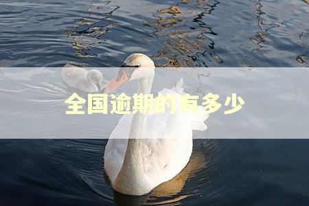 全国逾期的有多少