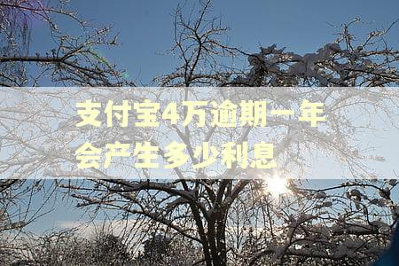 支付宝4万逾期一年会产生多少利息 支付宝4万逾期一年会产生多少利息