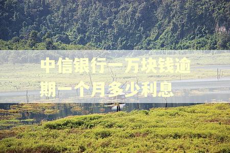 中信银行一万块钱逾期一个月多少利息