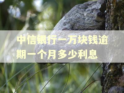 中信银行一万块钱逾期一个月多少利息 中信银行一万块钱逾期一个月多少利息