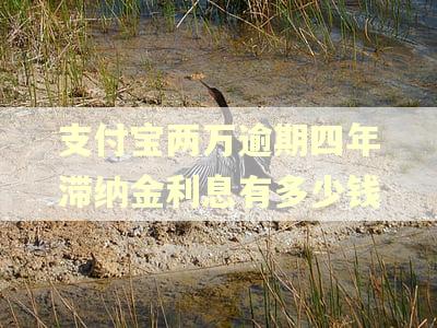 支付宝两万逾期四年滞纳金利息有多少钱