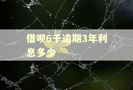 借呗6千逾期3年利息多少