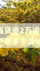 网商贷借2万逾期4天产生多少滞纳金