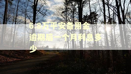 6.8万平安备用金逾期后一个月利息多少