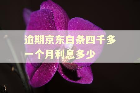 逾期京东白条四千多一个月利息多少