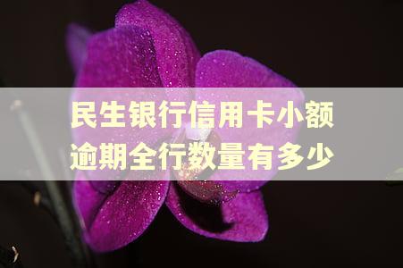 民生银行信用卡小额逾期全行数量有多少