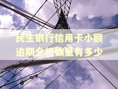 民生银行信用卡小额逾期全行数量有多少