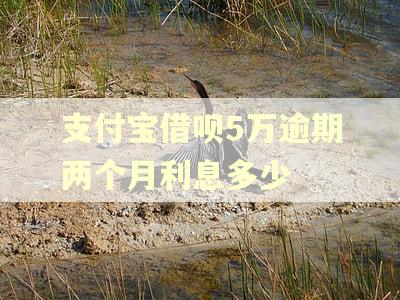 支付宝借呗5万逾期两个月利息多少