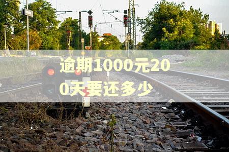 逾期1000元200天要还多少