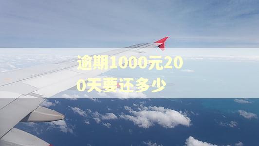逾期1000元200天要还多少 逾期1000元200天要还多少