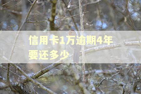 信用卡1万逾期4年要还多少