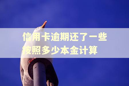 信用卡逾期还了一些按照多少本金计算