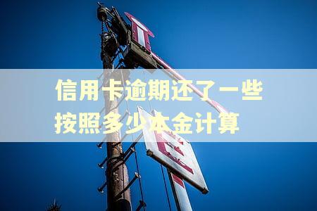 信用卡逾期还了一些按照多少本金计算 信用卡逾期还了一些按照多少本金计算