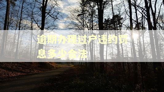 逾期办理过户违约罚息多少合法
