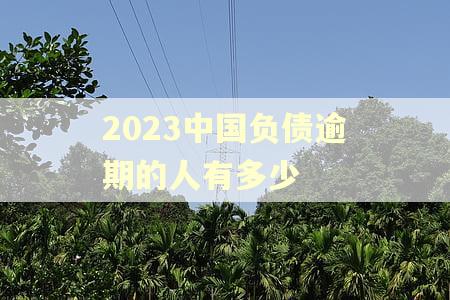 2023中国负债逾期的人有多少 2023中国负债逾期的人有多少