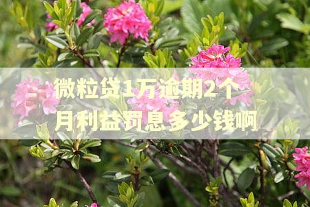 微粒贷1万逾期2个月利益罚息多少钱啊