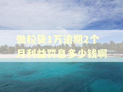 微粒贷1万逾期2个月利益罚息多少钱啊