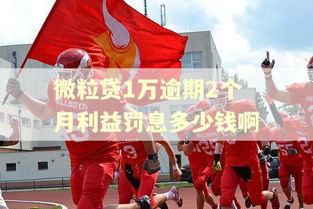 微粒贷1万逾期2个月利益罚息多少钱啊